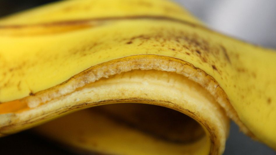 usos piel de banana